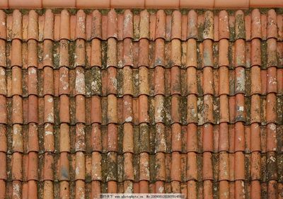 磚瓦間的記憶 屋頂上的中國